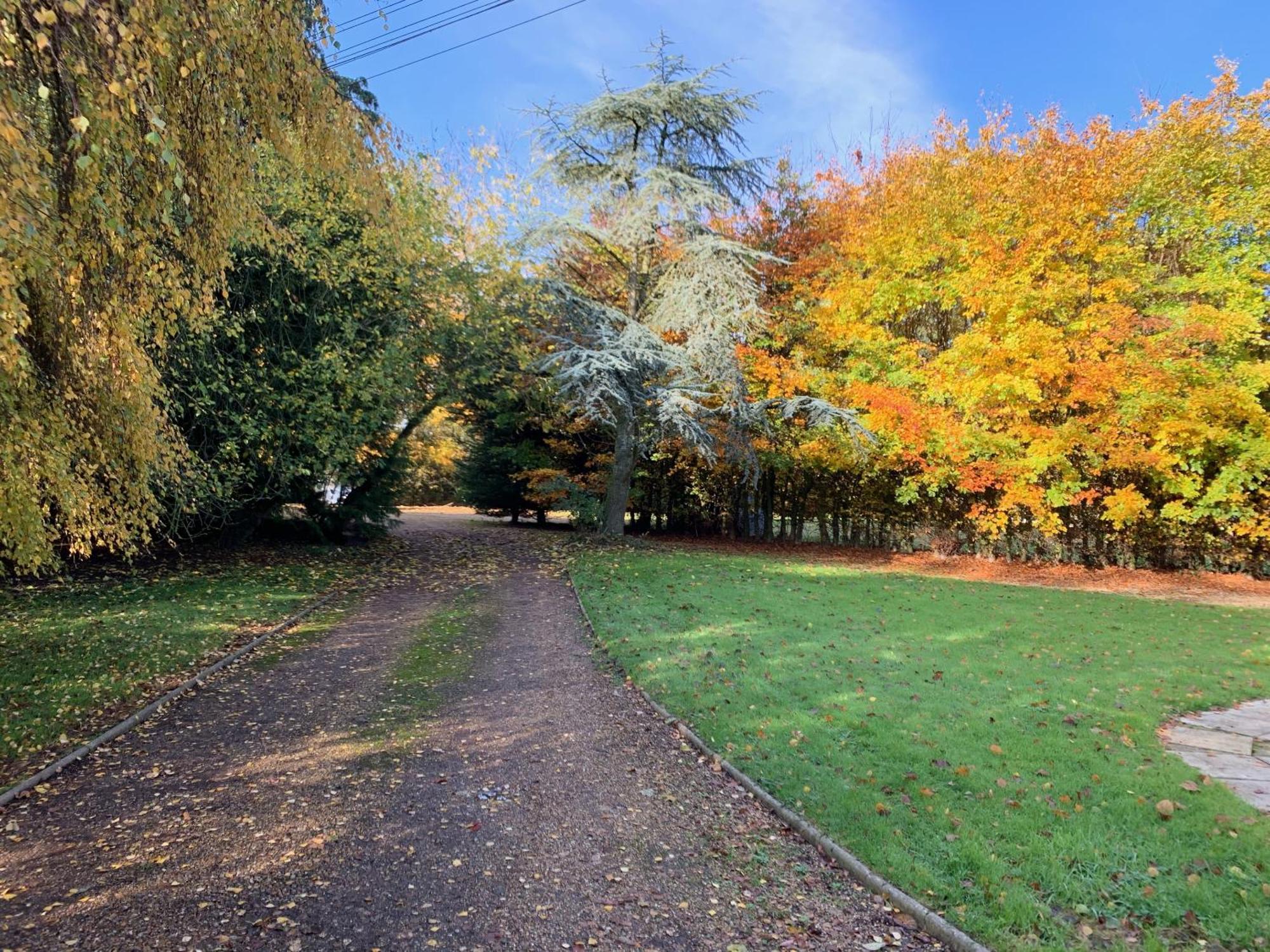 Aldercarr Hall Great Ellingham Εξωτερικό φωτογραφία